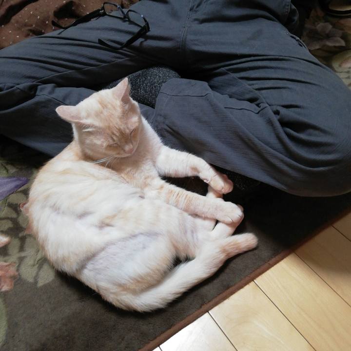 Ec601768 aa77 4ef2 b187 4822d7cd2b56 1611785718894