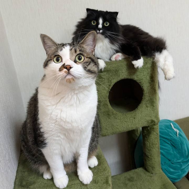 Ec602026 366a 4774 9c43 4c058d49a9a0 1719452397948