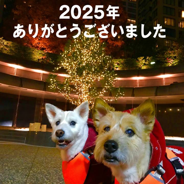 Ec604728 3bdf 4bdd a4d9 91fc89ef1fb0 1767174352097