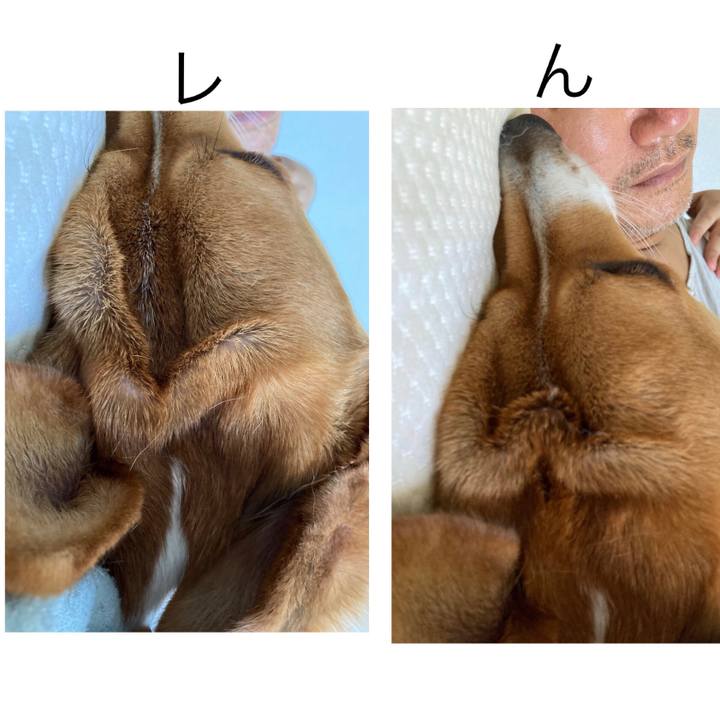 Ec6065ff 3677 4753 ae43 c95f8e0b5a2f 1660780103207