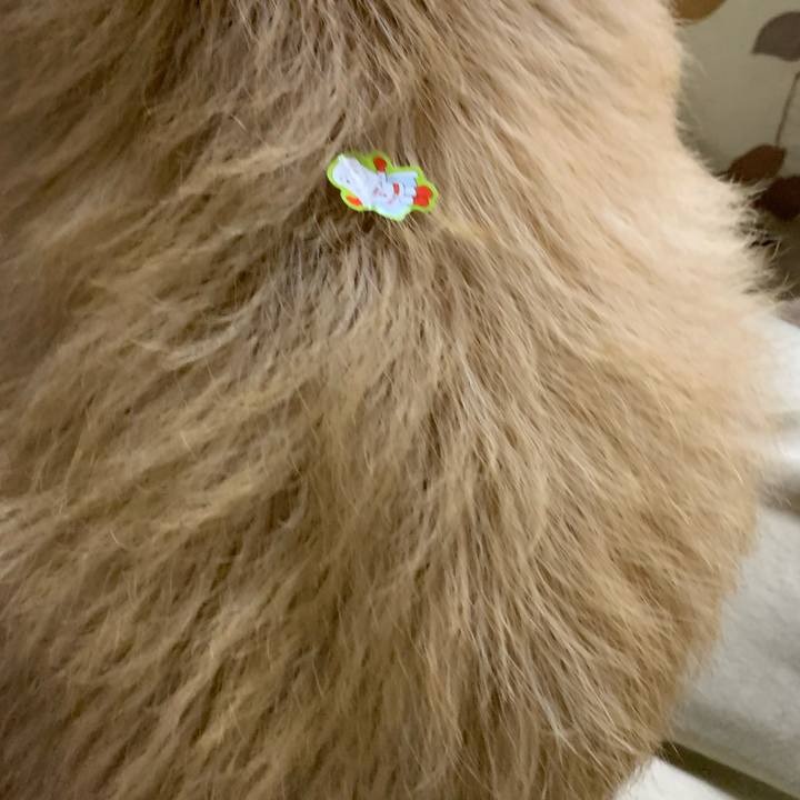 Ec60854a b727 4ba4 aad1 31b9597ea97b 1581772863224