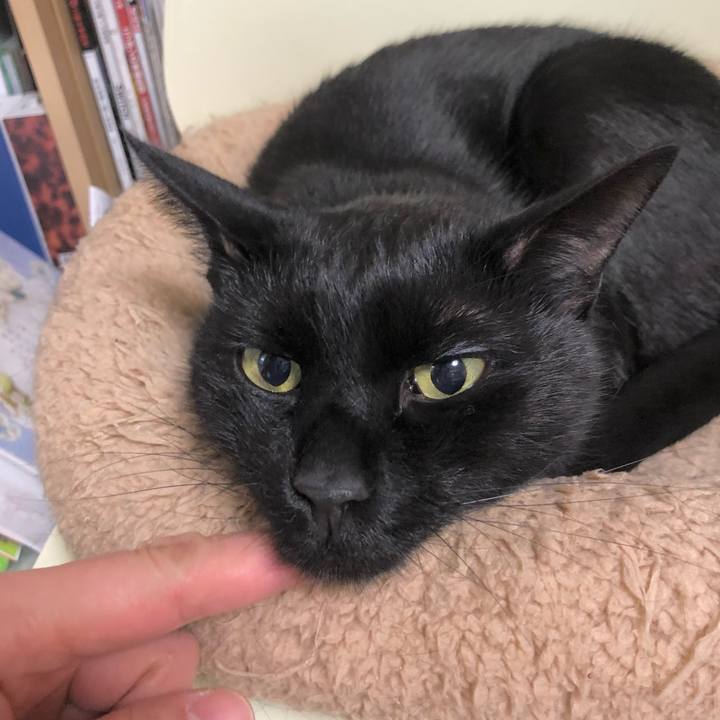 Ec609c01 0dde 4ee0 bf72 af692eab0ef0 1612872275639