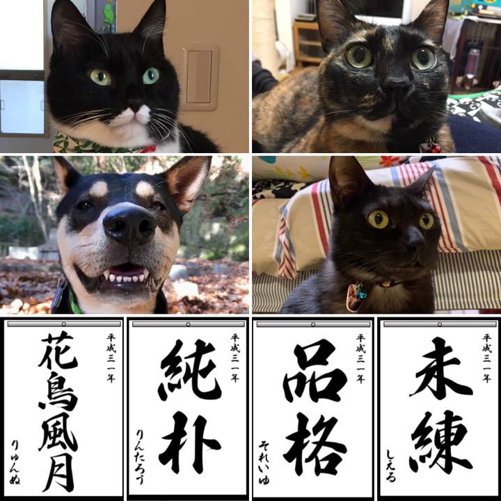 Ec60a856 5c74 4327 a156 e3067c5fcddf 1546437117526