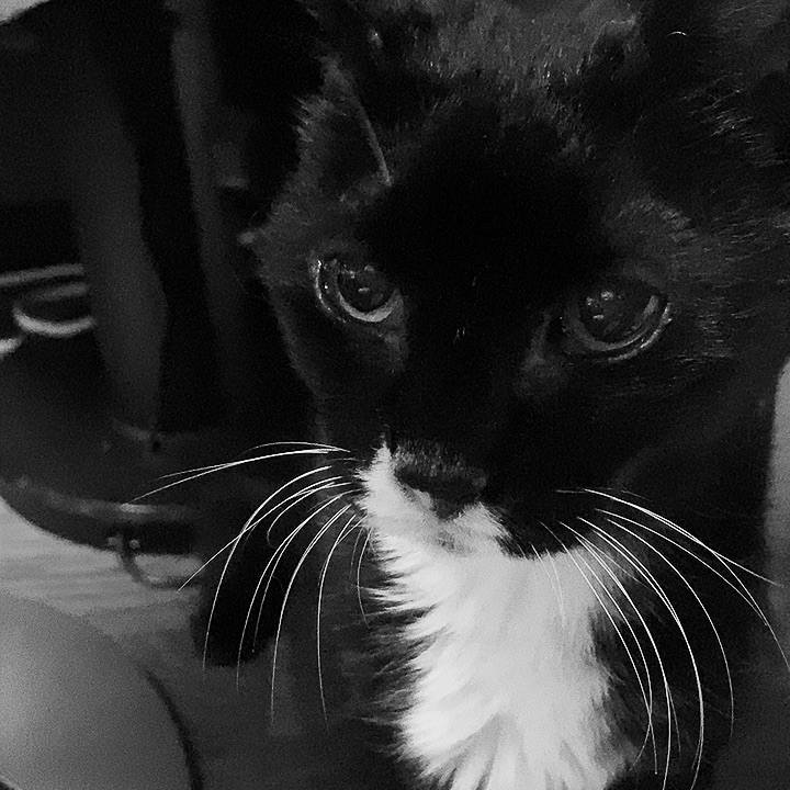 Ec60c626 a1eb 4e86 8a21 4d1c8e13d4f2 1628003805520