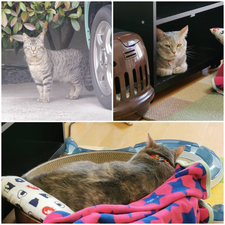 Ec61030b ec97 425f 9cb0 8c70a750cbf0 1651119110404