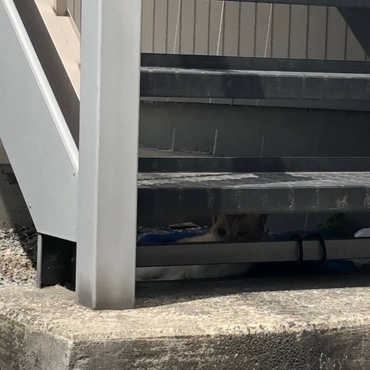 Ec61065f 681d 4def a4a0 73edeb9a7c65 1558369439181