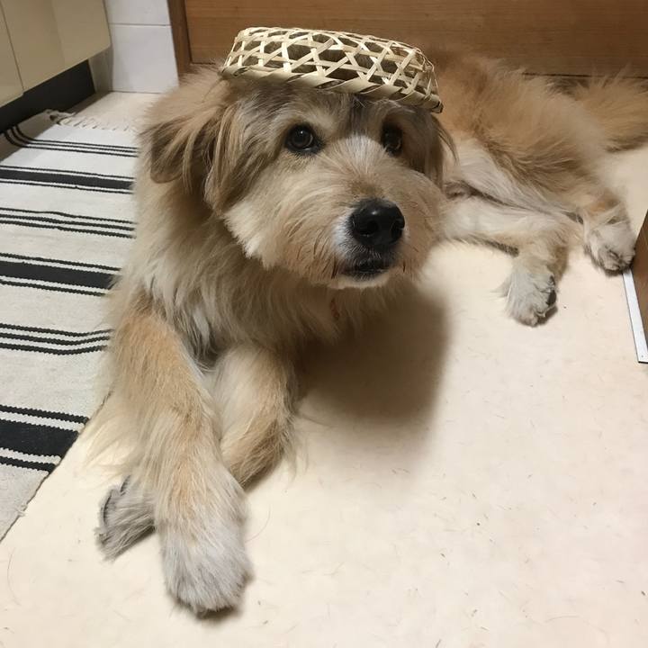 Ec6146a8 d84b 4356 833e cc6397978b37 1544453373999