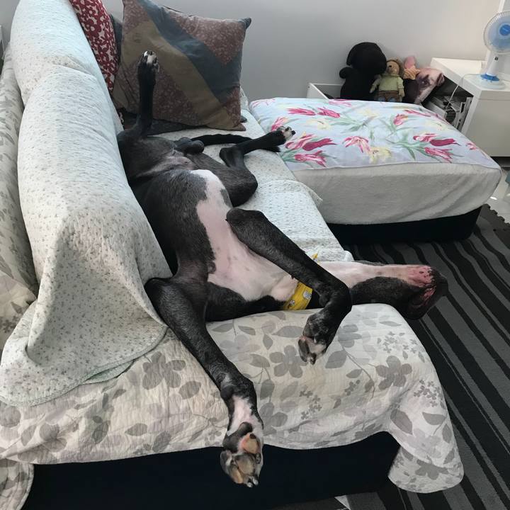 Ec6149f2 8d53 4d18 8ec2 64d023815f9c 1535324333095