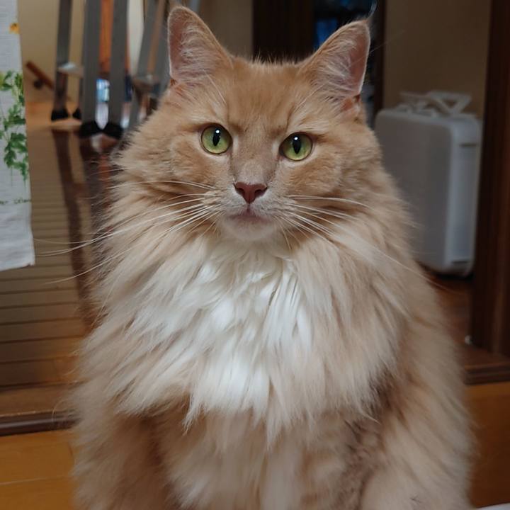 Ec61510e 3615 47f9 9faf 1c5510b278d2 1633255696470