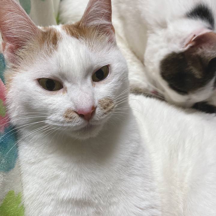 Ec61534f 46c2 46ab b1a6 42565d981cfa 1610283567229