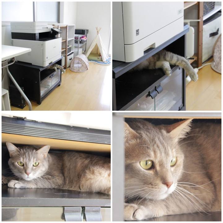 Ec615520 3331 40e5 a1f7 4c3944f53aaa 1587711533459