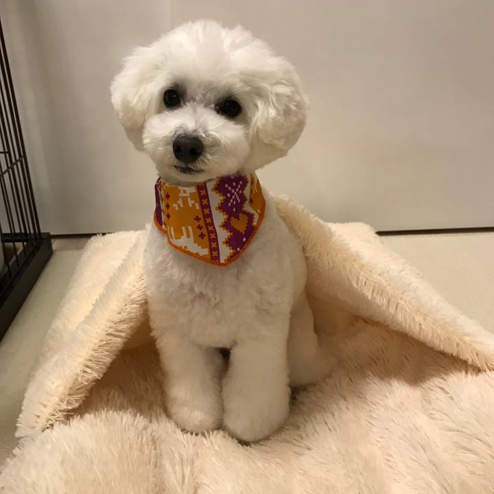 Ec61810d 8d9f 4e9d bc6f 065d90e955ae 1516269229578