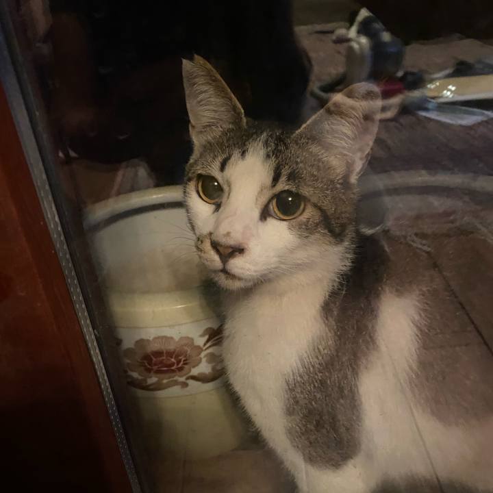 Ec618189 800d 4f17 b17a 8c3208d84c37 1625150063321