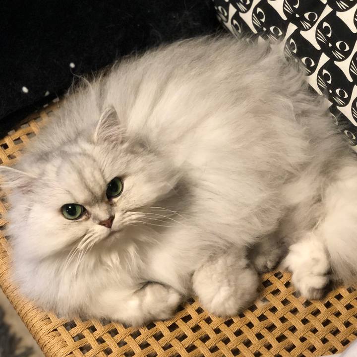 Ec618e38 e7f5 4928 9bf5 5e89229b2273 1613648136076