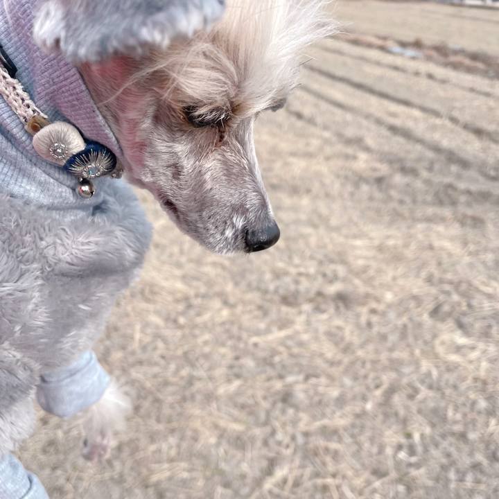 Ec61a807 cd27 4981 89fe b1dee059cf7d 1768443670820