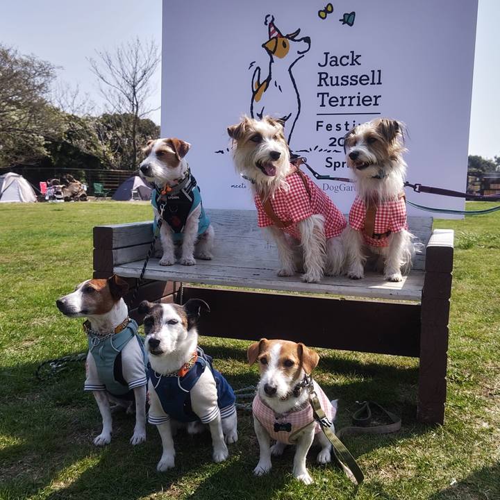 Ec61ba83 16f7 4fce 8022 aed50c429a4b 1774762073658