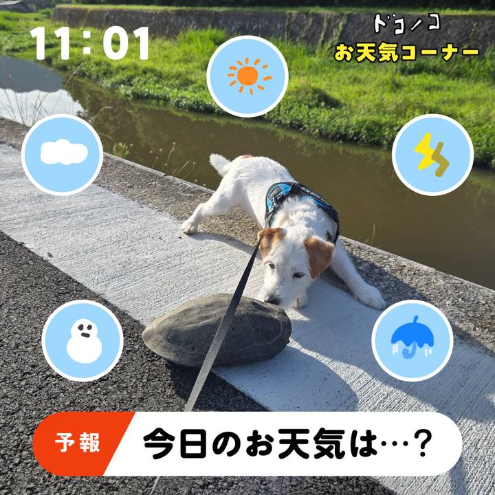 Ec620fb3 2975 46c2 b47f ec30d89e0a8e 1781935779430