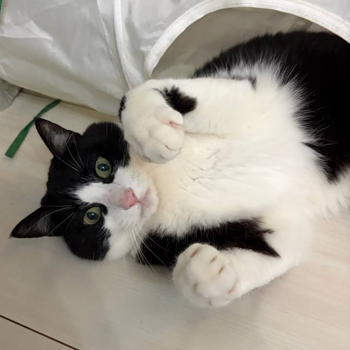 Ec6211aa fa1e 48b9 ba1f 2da782d35c79 1770523501388