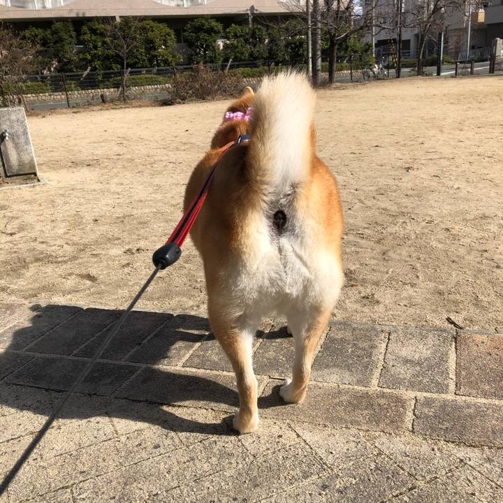 Ec622953 fdfb 44c5 8adc 38e439f433f9 1549962641490