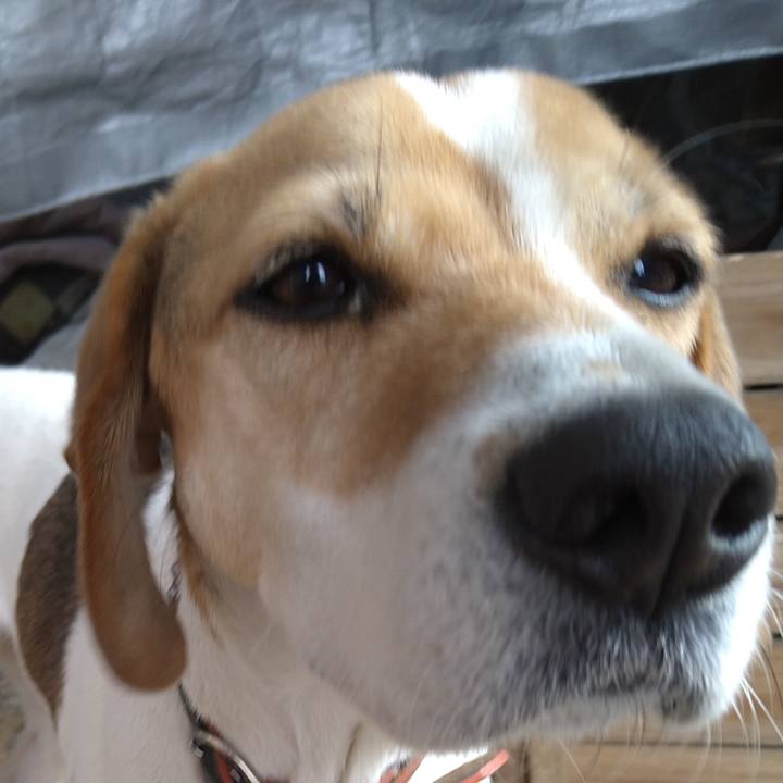 Ec624385 1eed 4112 a638 82ecd316b538 1660735100611