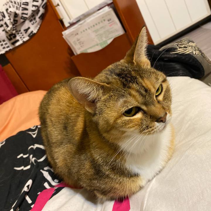 Ec624b5e 9af0 460d b85d 0ac818ff16ca 1609511727530