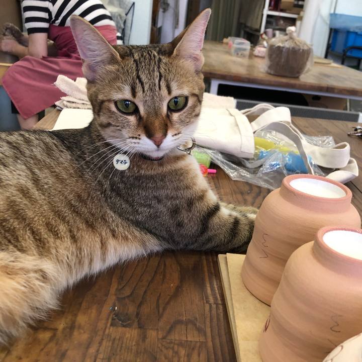 Ec6259e4 4fe5 4dee ae5a 51e7eddd0915 1596418362788