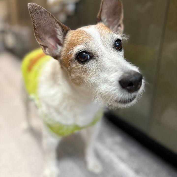 Ec627681 a0fa 459c 9b1f 073de0753b54 1752795169656