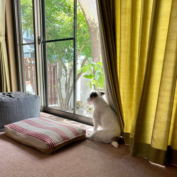 Ec628d28 e593 4163 bf7c daaeb5b6d37c 1693043807435