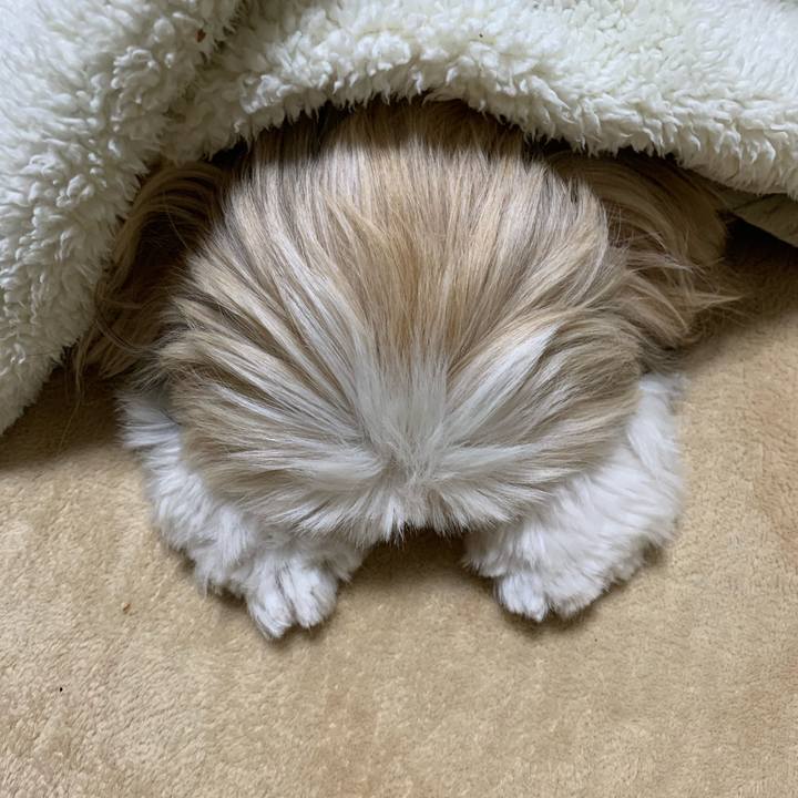 Ec628fc1 1cad 46a7 ab5a a871d1cfe9f6 1609425693038