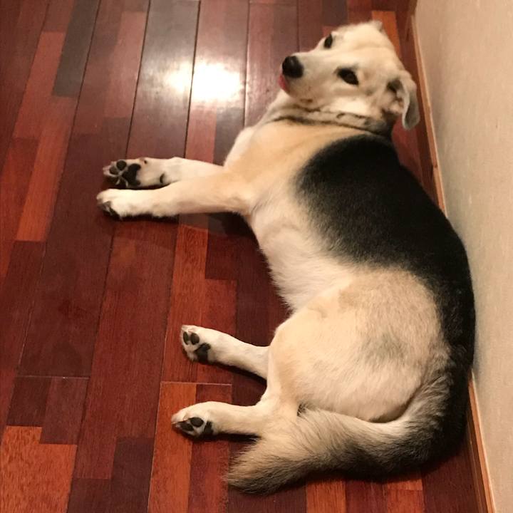 Ec62db52 5c17 4cfc 88d2 5eec677cadea 1541854031415