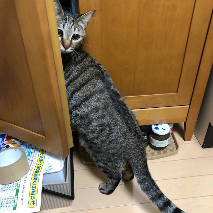 Ec630d62 99a3 45bb 81c9 e89f90c70c22 1516305169666