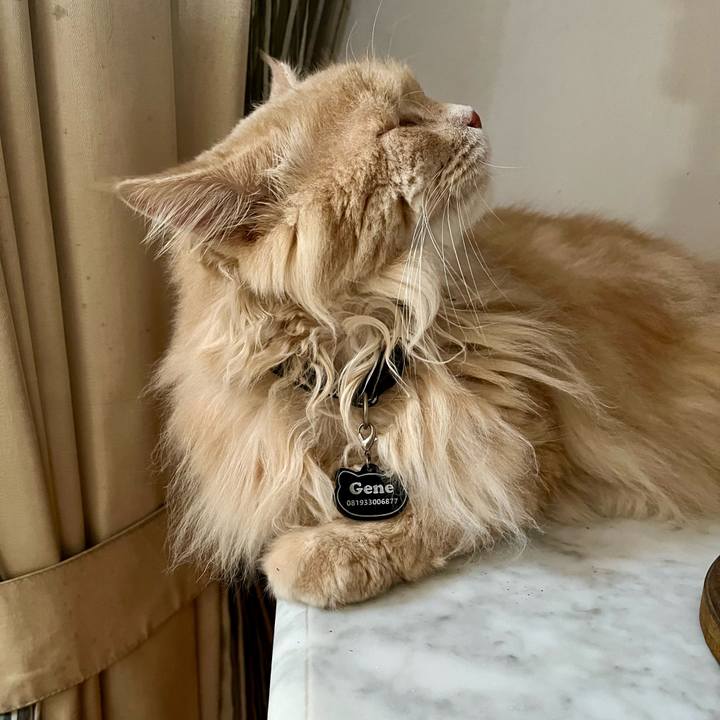 Ec6356a8 4dbe 4b59 8f6b e0befad40fec 1763187766983