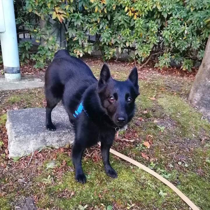 Ec635afa 34f3 47f6 9041 fc76dc0b2e63 1611180711476