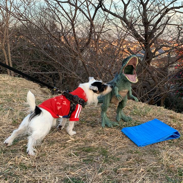 Ec63735e 5a41 46ee 92ae 155244da4087 1703921867097