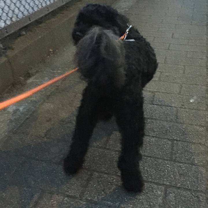 Ec637adb b984 4a2b b5b0 57c7b117d664 1531770454106