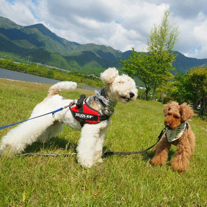 Ec637c23 1718 4507 9b48 dd8a6f8fd8f4 1525412889164