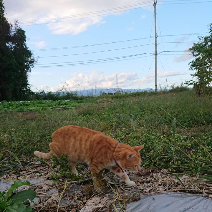 Ec639aa1 6d34 4f63 9c56 6a310382b31a 1570348431960