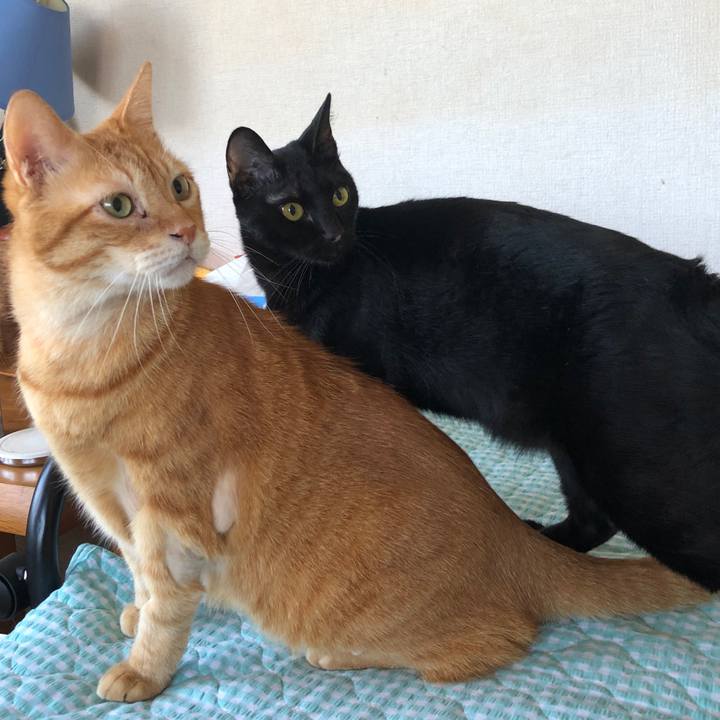 Ec63fa1c 7031 41d9 8429 a4ae28d93788 1660118574967