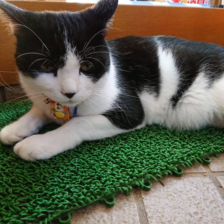 Ec63fbea 0128 4511 b377 cd8e23011fad 1599526900388