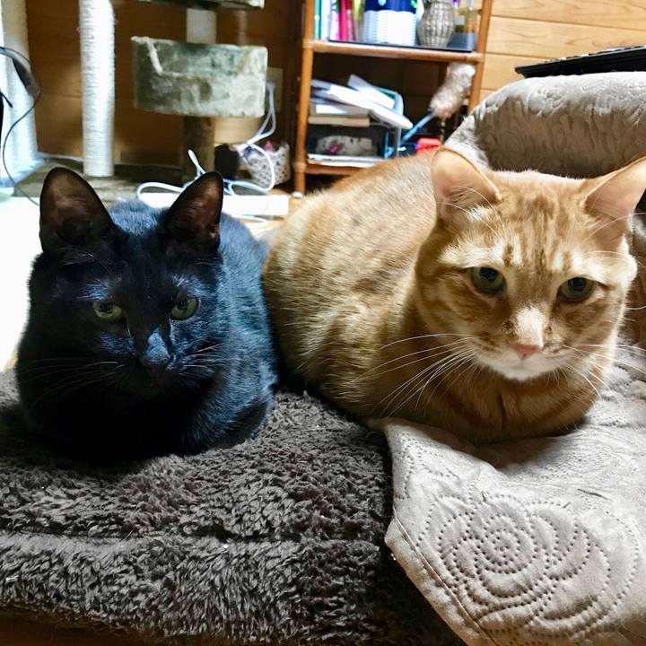 Ec64004c aeaf 4c0c 8f5f a0a42412c097 1520607053524