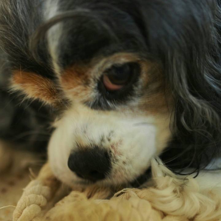 Ec640c25 92f5 4e5c 8572 a1e6a1eb382d 1508939007405