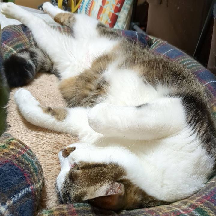 Ec641ab3 06e7 45fe 93f0 a39ba6a87246 1697421567475