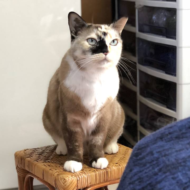 Ec642300 39ca 40d5 84eb 12f229ae6896 1774713776019