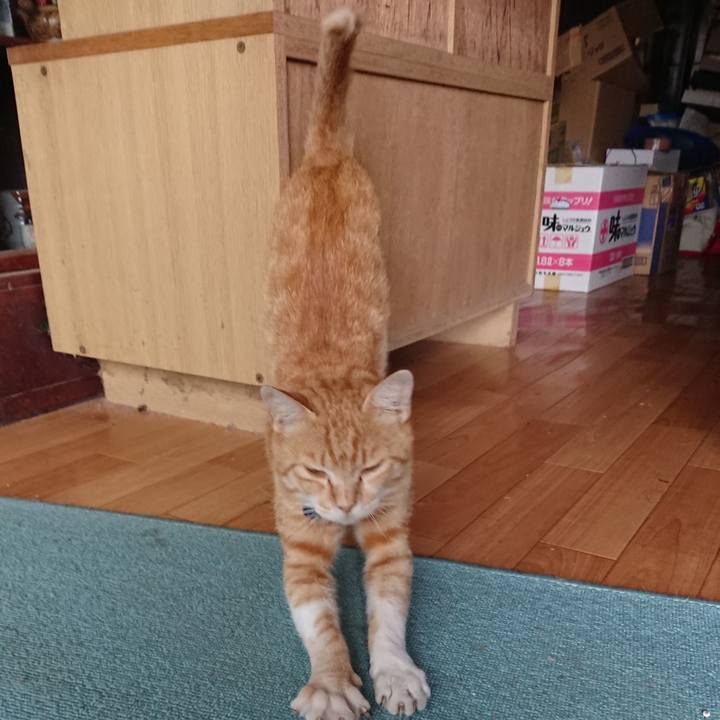 Ec645ff7 a2da 44f2 b956 7d720dbfe86b 1561186423131