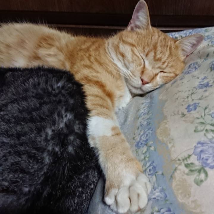 Ec6464e6 c227 47c6 8c0f ef2931a40d95 1581945744401