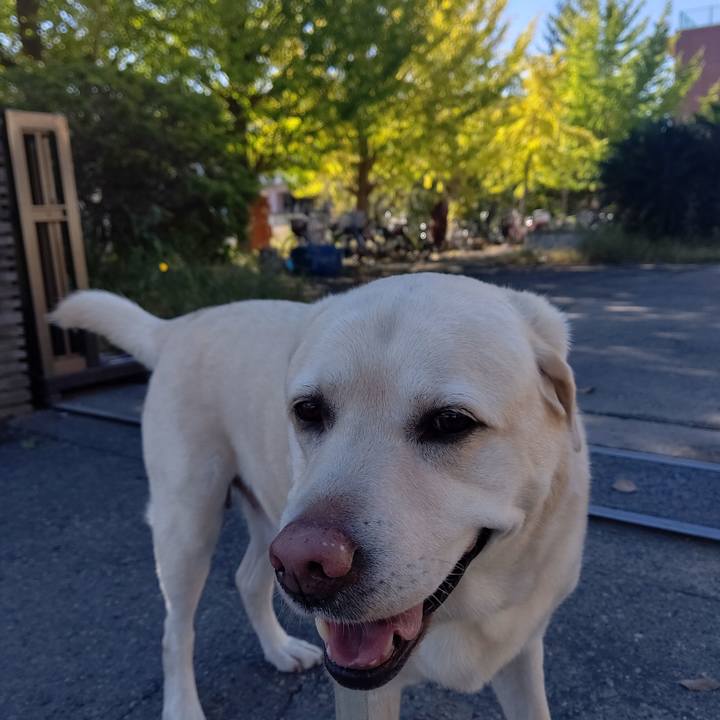 Ec649381 5217 4004 ba25 70998418bee2 1697936383377