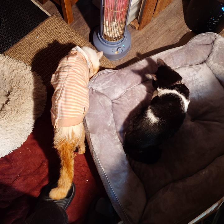 Ec64a3cd 9e9c 4c24 8a7a 44e2bf629958 1769947933508