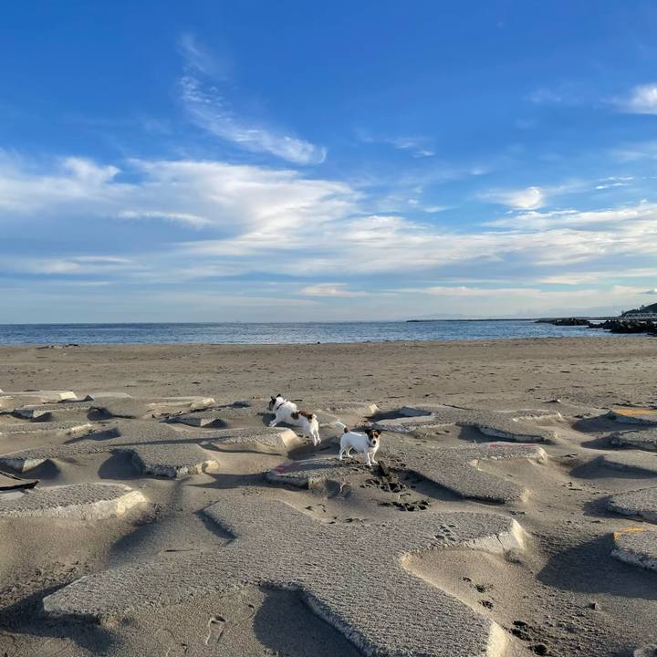 Ec64ad2a 1420 4c46 aa54 a3747ed016c7 1728515807937