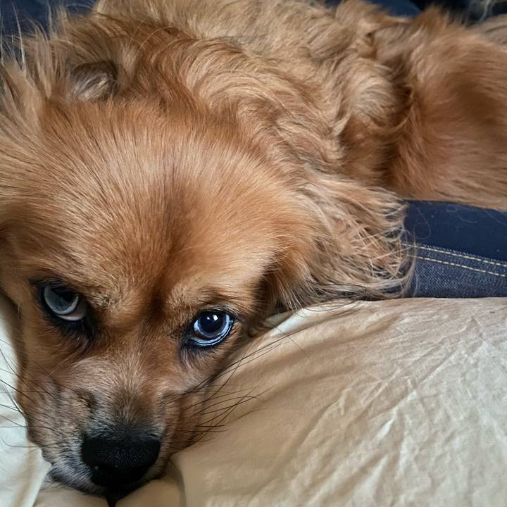 Ec64bc06 f711 4db3 96f4 42db84fbf02d 1603403795969