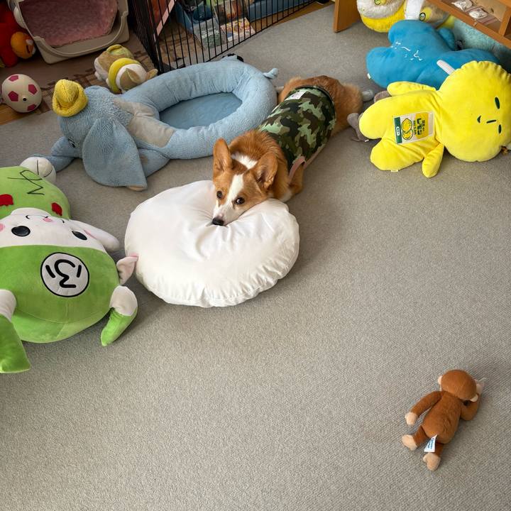 Ec650c72 02a2 4f06 8329 0dcdae5946fc 1771385333995